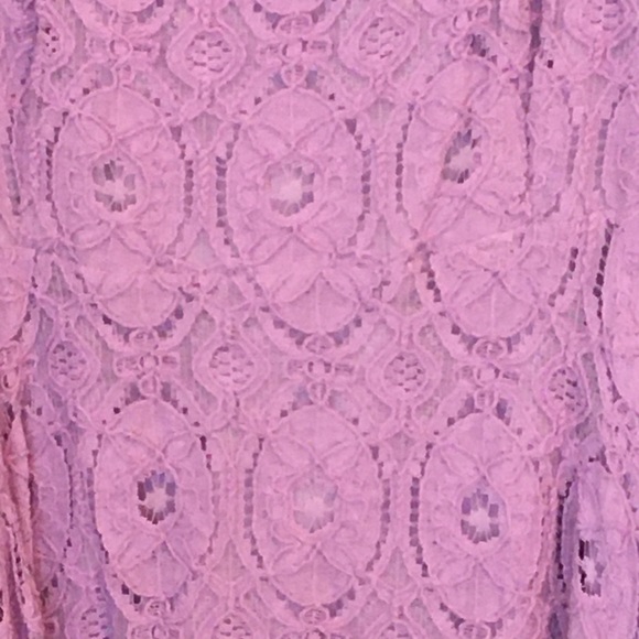 BB Dakota lavender lace skater dress . Worn twice - Picture 4 of 6